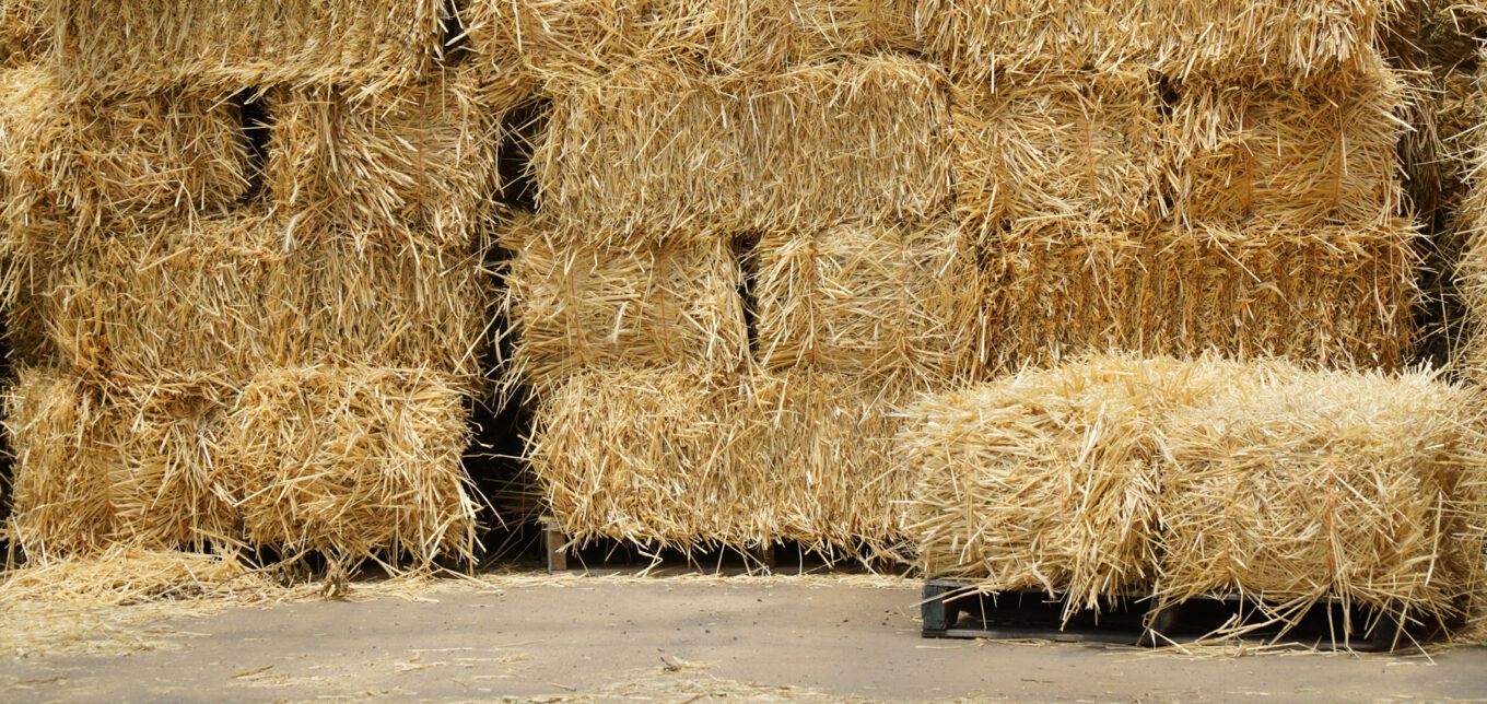 Straw and Cob House Building – Mother Earth News, image size:1360x644